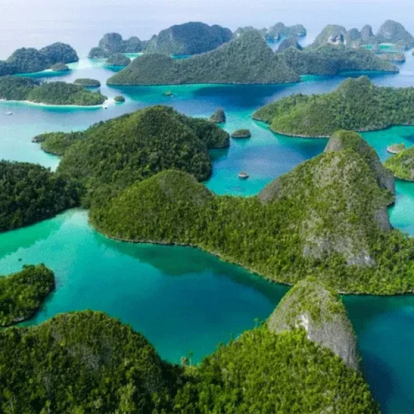 Raja Ampat + Kalibiru