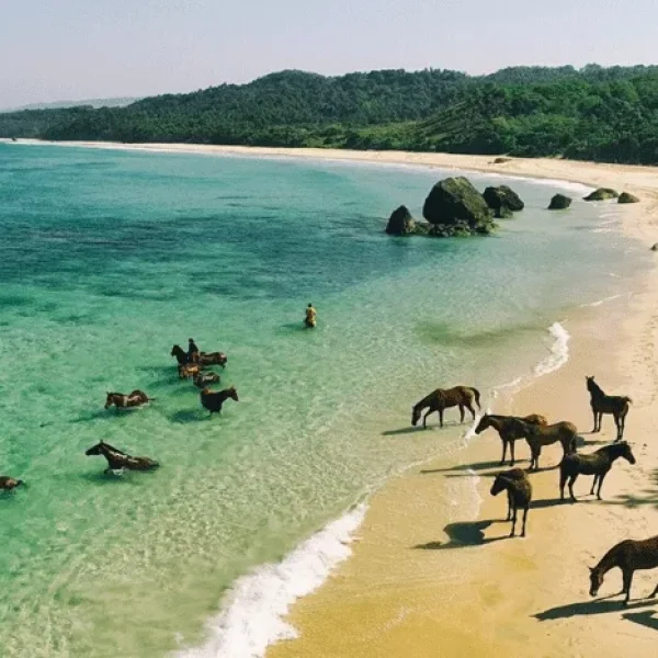 Sumba