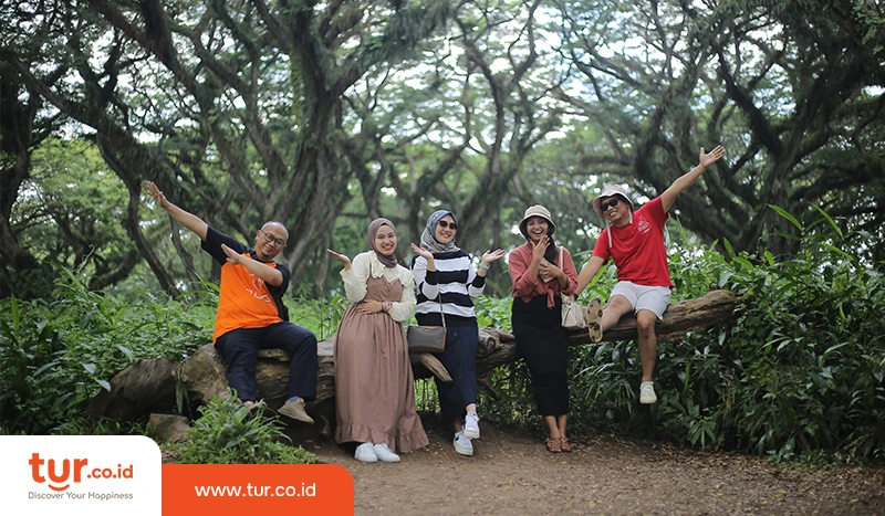 Privat Trip Banyuwangi